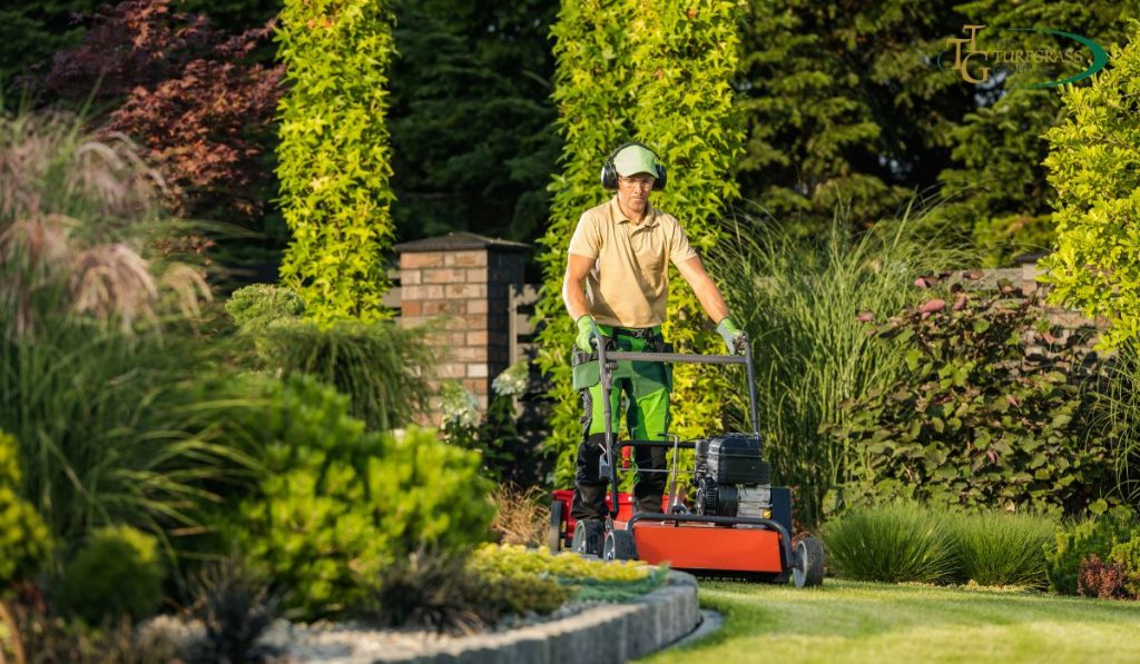 Best Lawn Guy